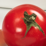 Market Tomato